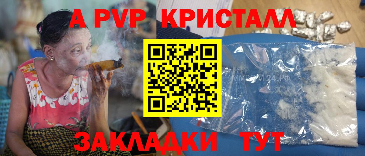Alfa_PVP СК КРИС Павловский Посад