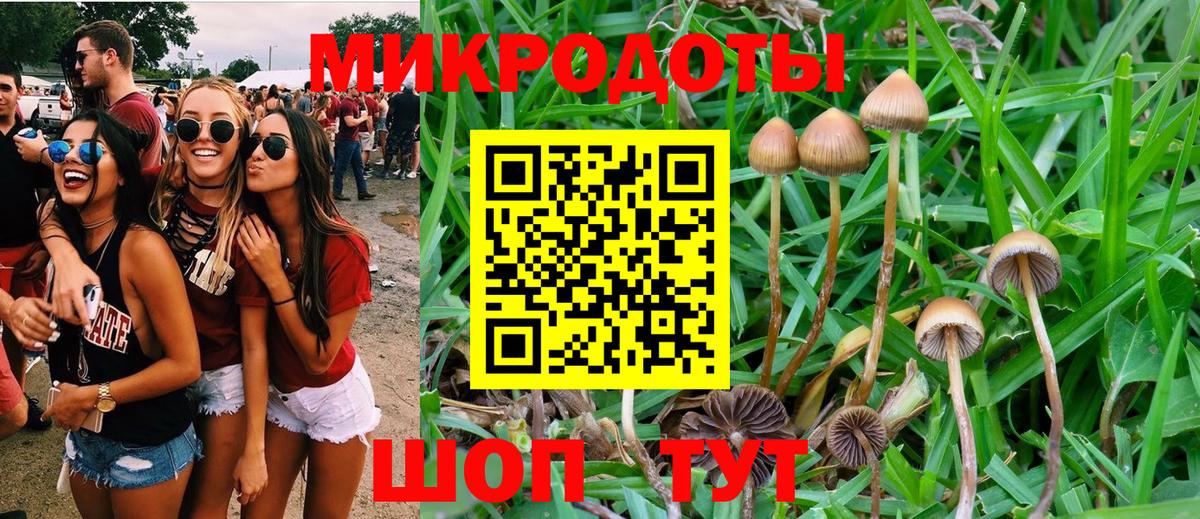 продажа наркотиков  Галлюциногенные грибы Cubensis  Вход с VPN  Павловский Посад 