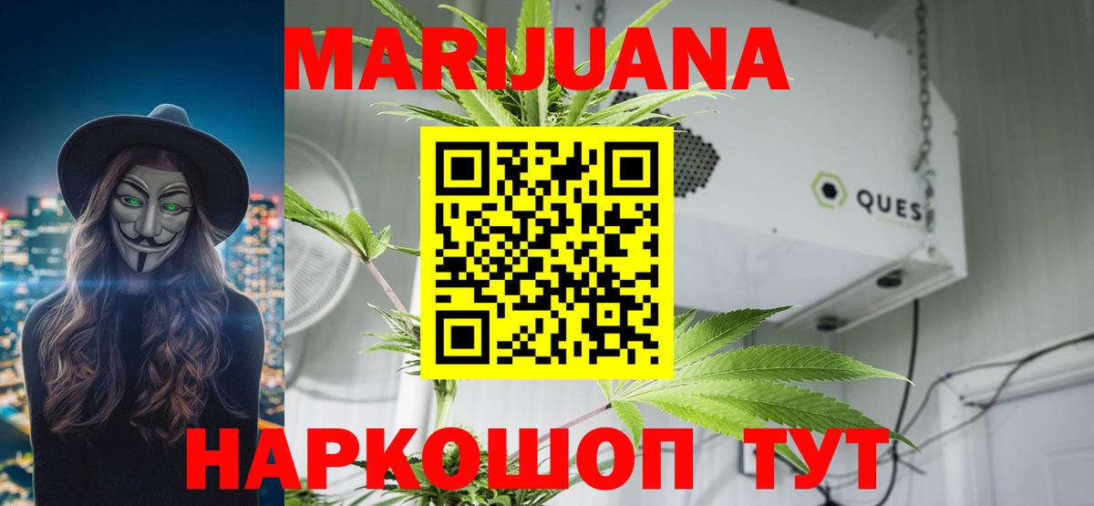 Псилоцибиновые грибы Павловский Посад
